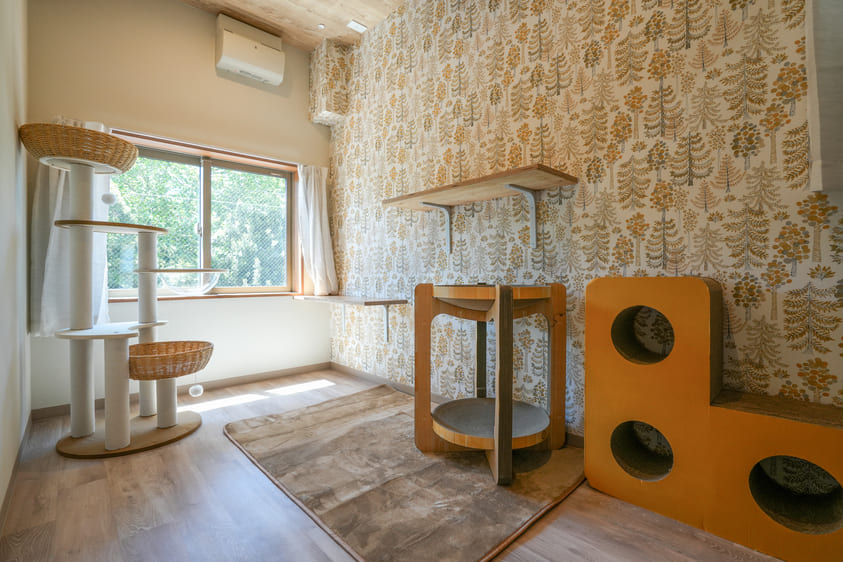 ねこべや店舗の風景