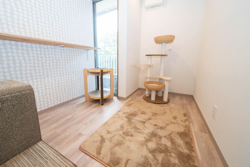 ねこべや店舗の風景