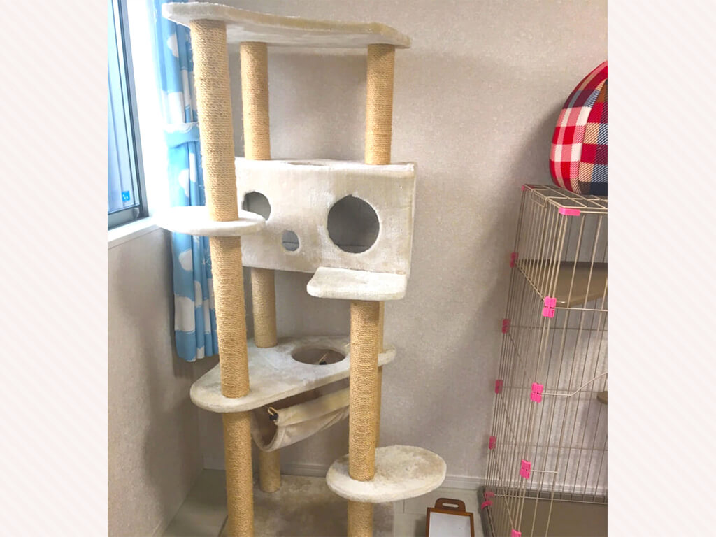 保土ヶ谷店キャットタワー