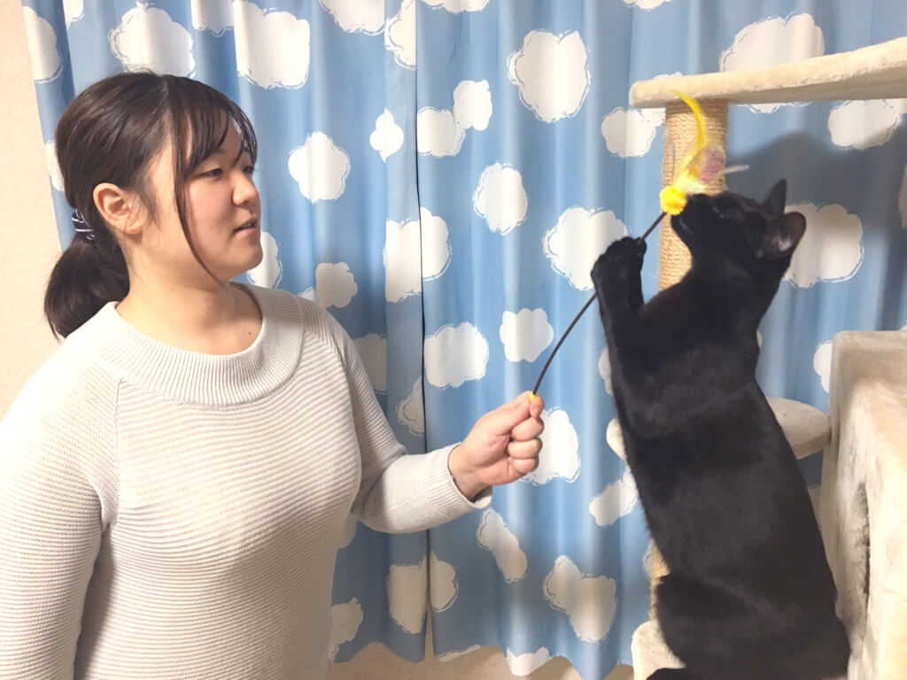 ねこべや保土ヶ谷店シッター