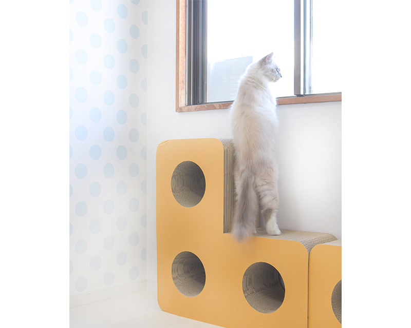 5畳のお部屋の大きな窓