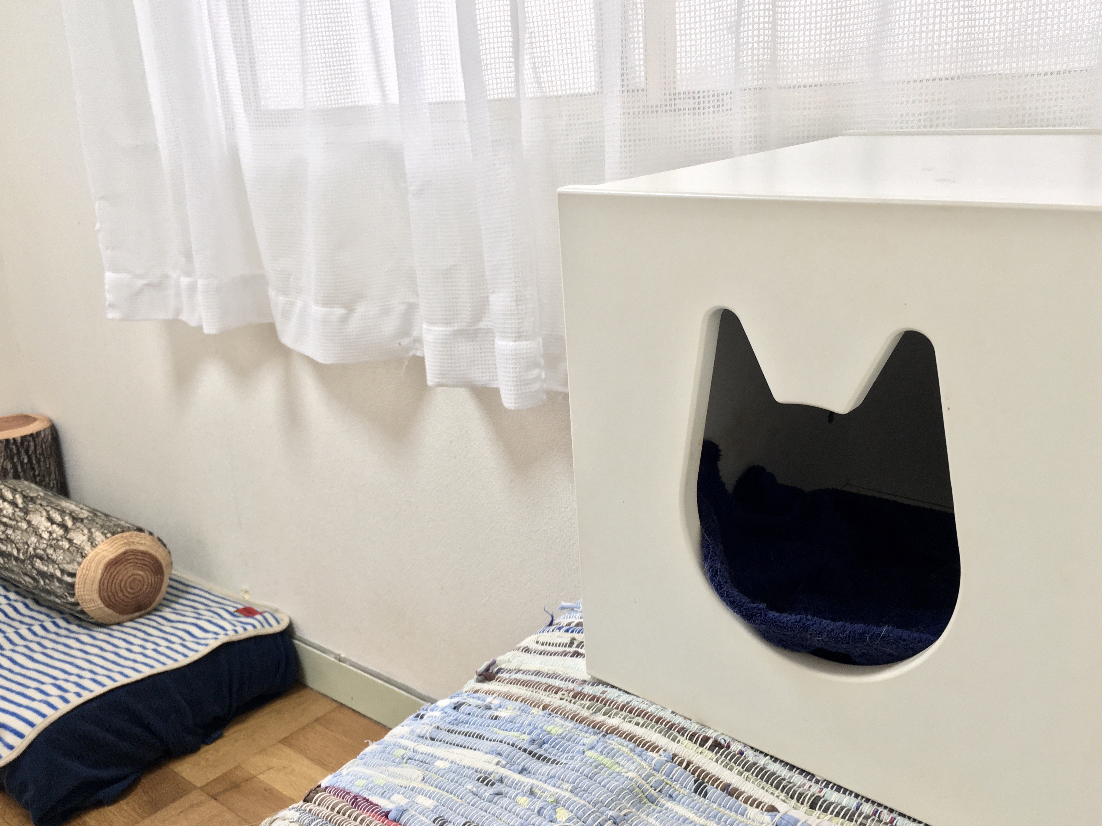 小金井店キャットハウス