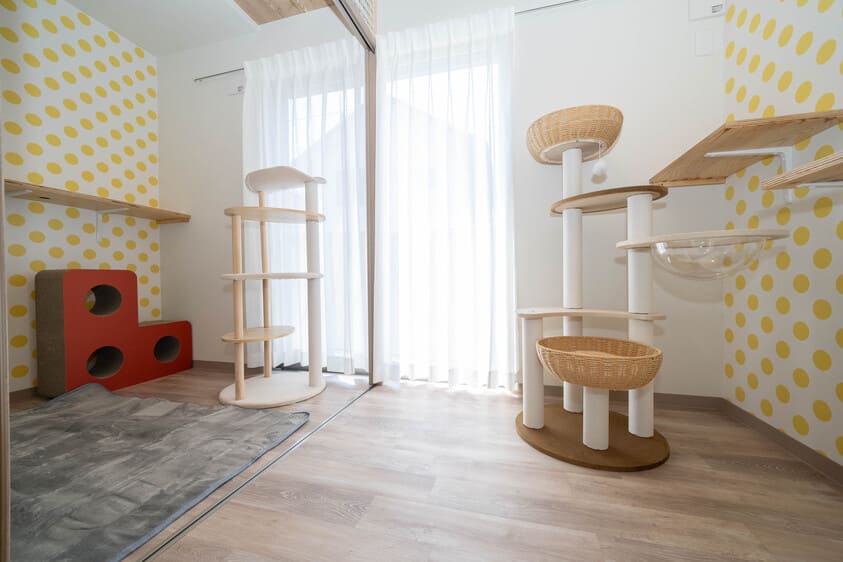 ねこべや店舗の風景